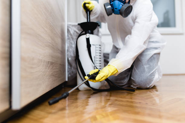 Best Mosquito Control Services  in Palm River Clair Mel, FL