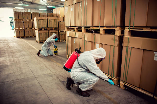 Best Best Pest Control Companies  in Palm River Clair Mel, FL