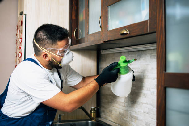 Best Spider Control Near Me  in Palm River Clair Mel, FL