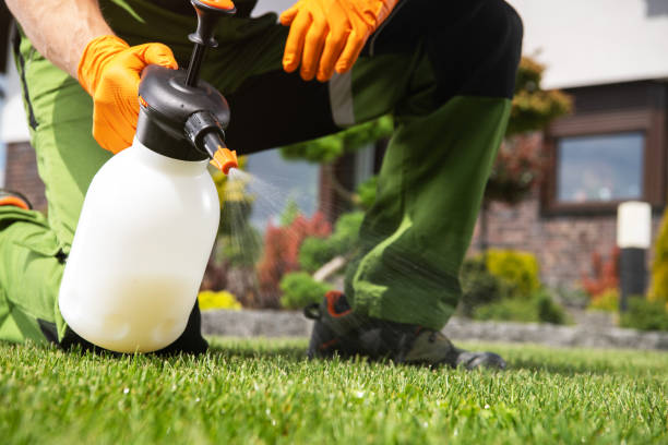 Flea Control Services in Palm River Clair Mel, FL