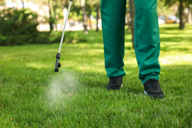 Reliable Palm River Clair Mel, FL Pest Control Solutions