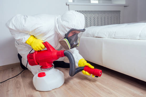 Best Pest Removal Services  in Palm River Clair Mel, FL