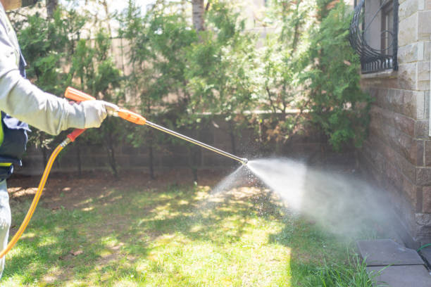 Best Pest Prevention Services  in Palm River Clair Mel, FL