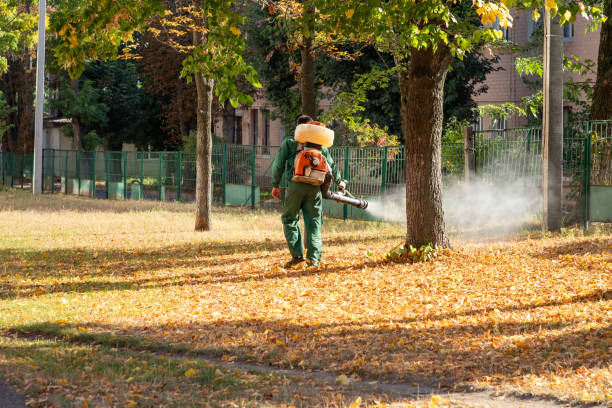 Best Bed Bug Extermination  in Palm River Clair Mel, FL