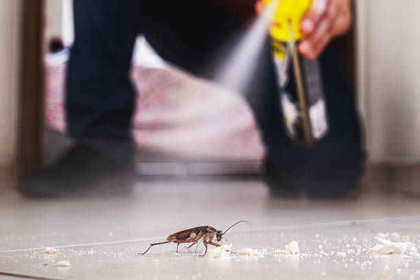 Best Residential Pest Control  in Palm River Clair Mel, FL